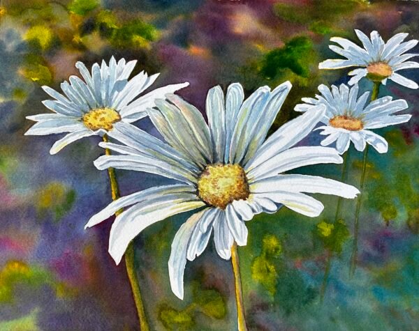 Dive into Daisies by Jan Schreiber