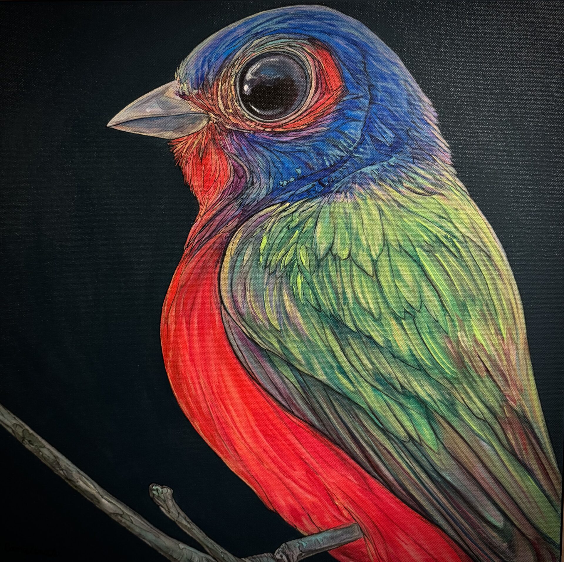 Painted Bunting