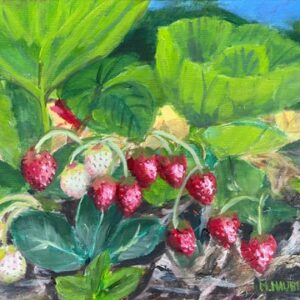 Ready to Pick | Michael Haubenstock