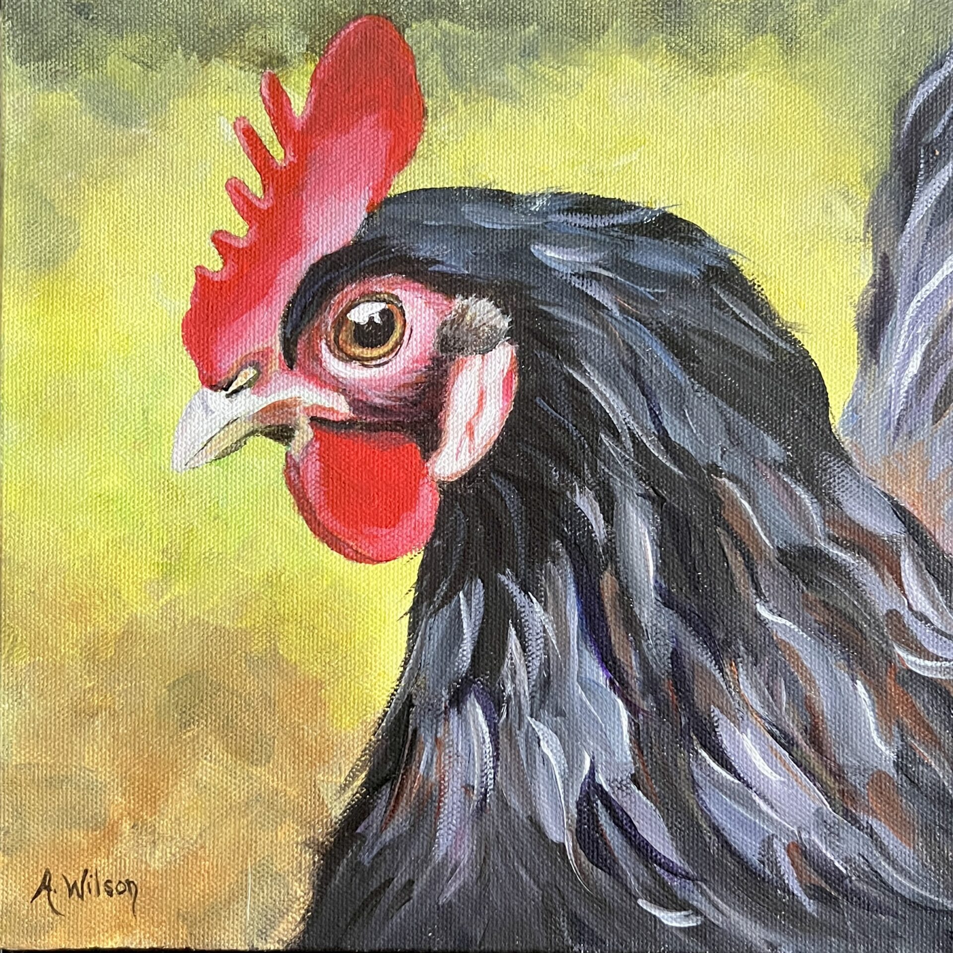 Mr. Roo | Anne Wilson