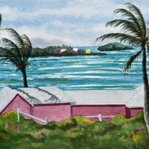 Back To Bermuda | Jan Schreiber