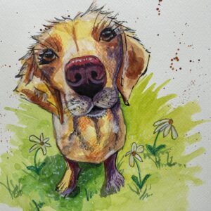 Good Boy | Jan Schreiber