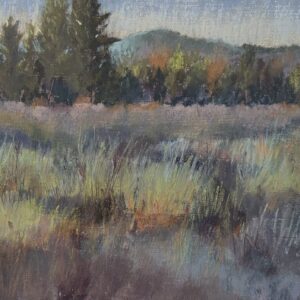 Dry Meadow