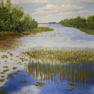The water lilies
