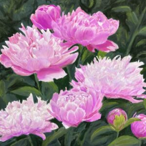 Peony Dance