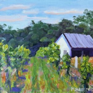 Summer at Shirley Vineyard