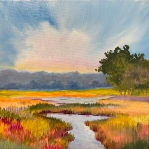 Marshy Wetlands